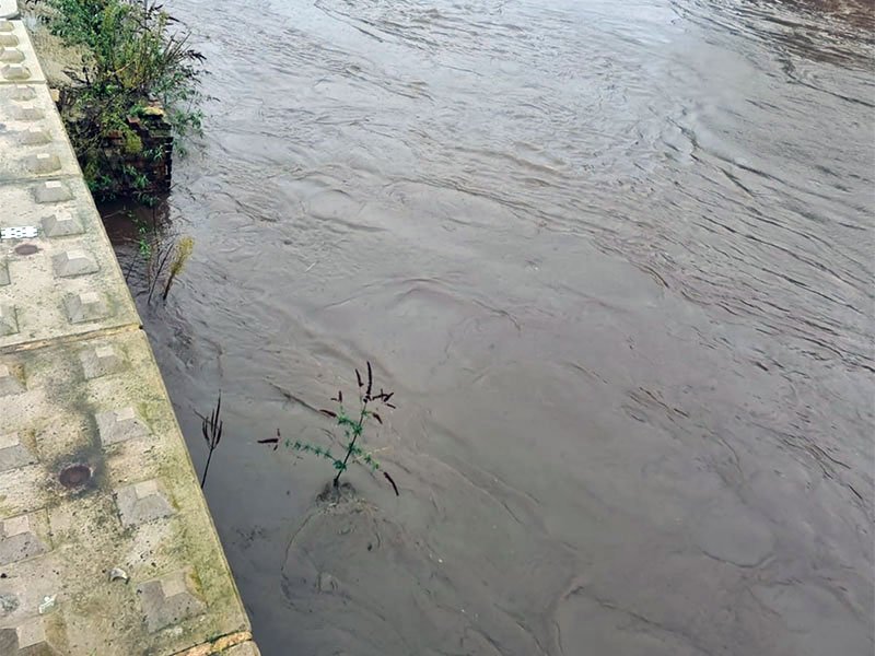 Flood Protection with interlocking blocks