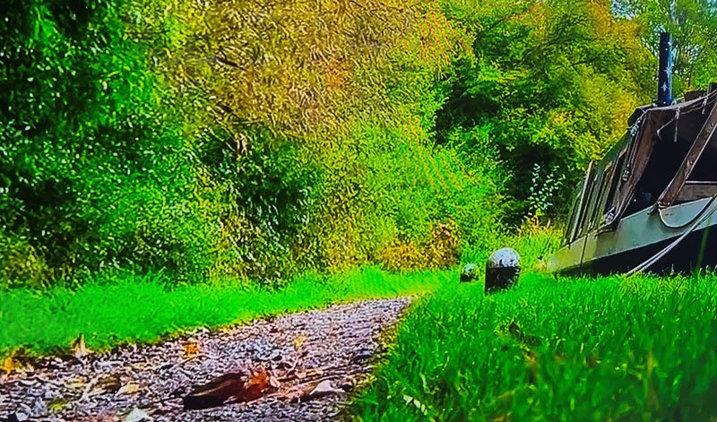The case for Minion-Bollards® within modern canal management